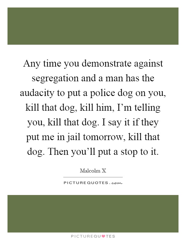 Any time you demonstrate against segregation and a man has the audacity to put a police dog on you, kill that dog, kill him, I'm telling you, kill that dog. I say it if they put me in jail tomorrow, kill that dog. Then you'll put a stop to it Picture Quote #1