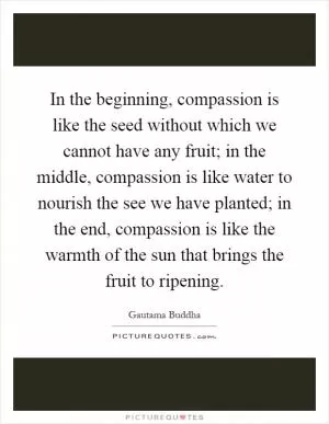In the beginning, compassion is like the seed without which we cannot have any fruit; in the middle, compassion is like water to nourish the see we have planted; in the end, compassion is like the warmth of the sun that brings the fruit to ripening Picture Quote #1