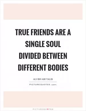 True friends are a single soul divided between different bodies Picture Quote #1