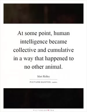 At some point, human intelligence became collective and cumulative in a way that happened to no other animal Picture Quote #1
