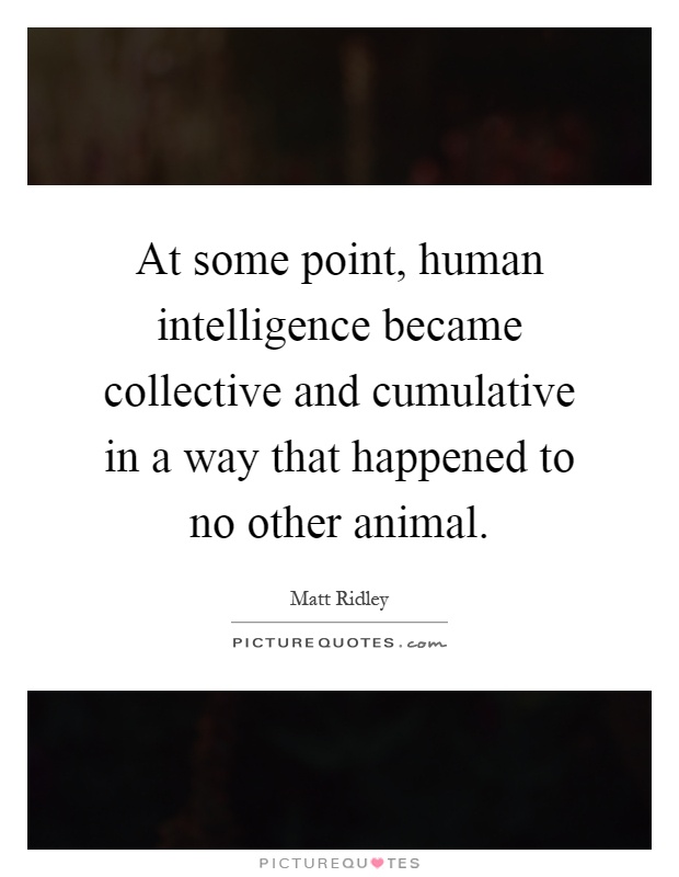 At some point, human intelligence became collective and cumulative in a way that happened to no other animal Picture Quote #1