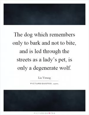 The dog which remembers only to bark and not to bite, and is led through the streets as a lady’s pet, is only a degenerate wolf Picture Quote #1