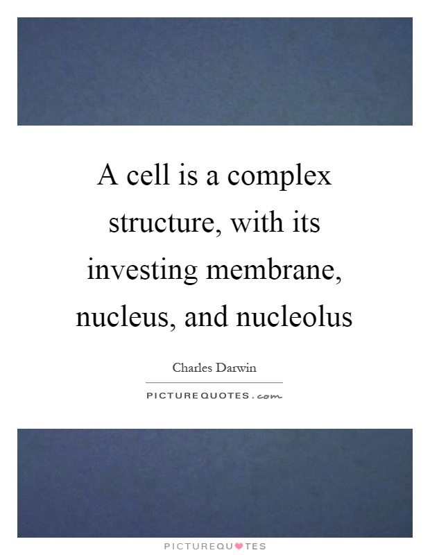 A cell is a complex structure, with its investing membrane, nucleus, and nucleolus Picture Quote #1