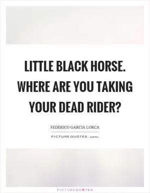 Little black horse. Where are you taking your dead rider? Picture Quote #1