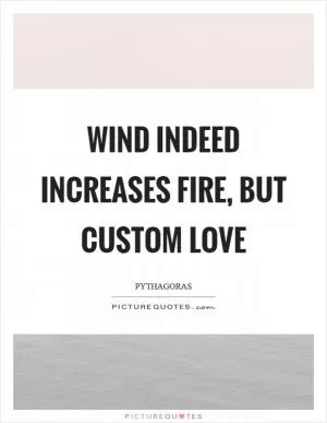 Wind indeed increases fire, but custom love Picture Quote #1