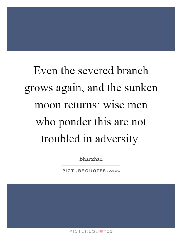 Even the severed branch grows again, and the sunken moon returns: wise men who ponder this are not troubled in adversity Picture Quote #1