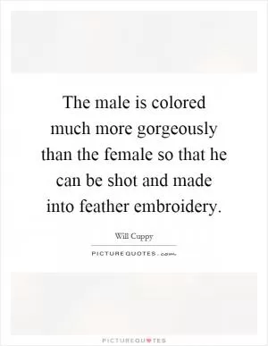 The male is colored much more gorgeously than the female so that he can be shot and made into feather embroidery Picture Quote #1