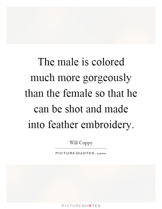 The male is colored much more gorgeously than the female so that he can be shot and made into feather embroidery Picture Quote #1