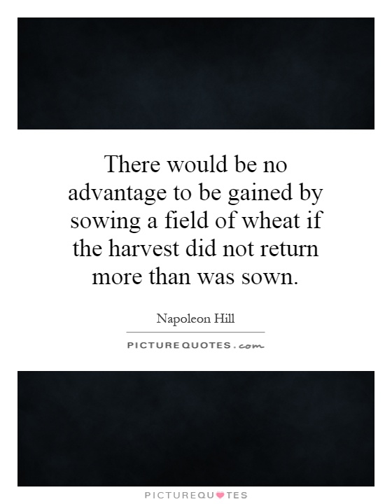 There would be no advantage to be gained by sowing a field of wheat if the harvest did not return more than was sown Picture Quote #1