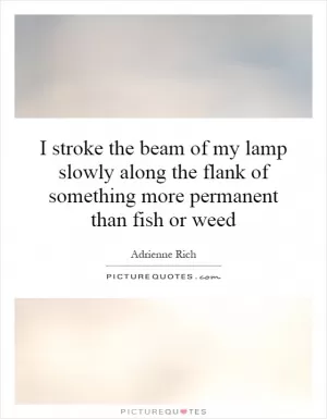 I stroke the beam of my lamp slowly along the flank of something more permanent than fish or weed Picture Quote #1