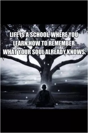 Life is a school, where you learn how to remember what your soul already knows Picture Quote #1