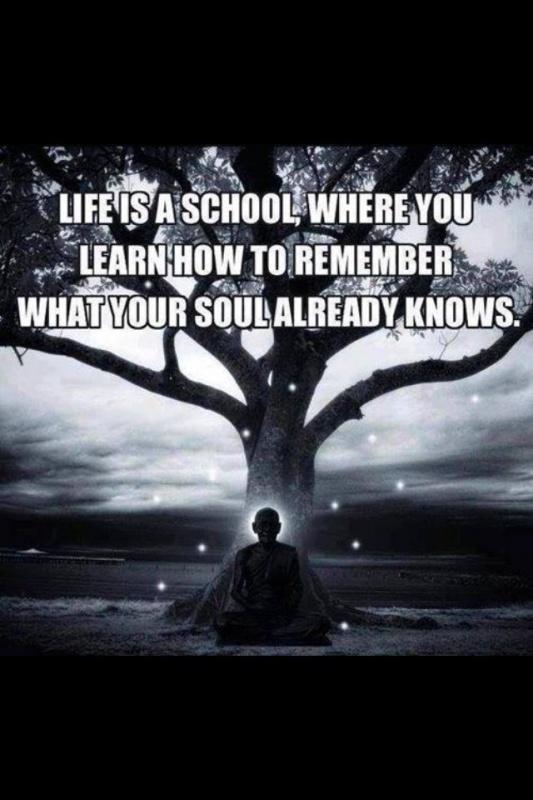 Life is a school, where you learn how to remember what your soul already knows Picture Quote #1