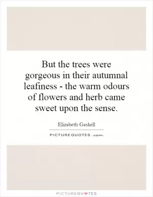 But the trees were gorgeous in their autumnal leafiness - the warm odours of flowers and herb came sweet upon the sense Picture Quote #1