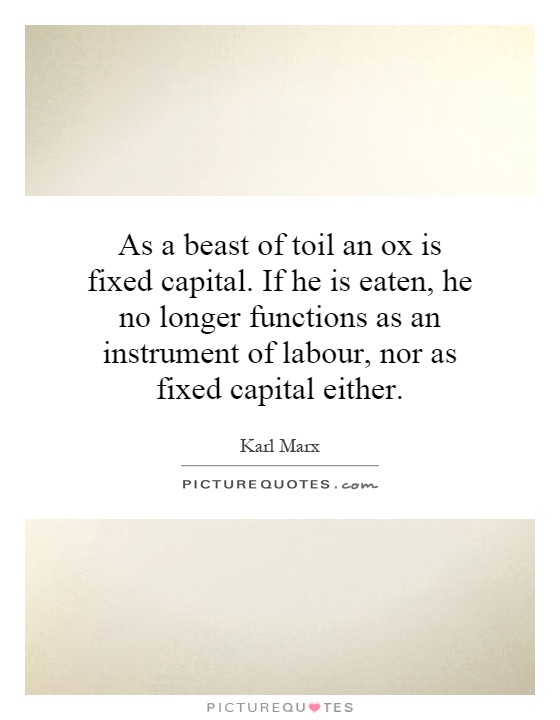 As a beast of toil an ox is fixed capital. If he is eaten, he no longer functions as an instrument of labour, nor as fixed capital either Picture Quote #1