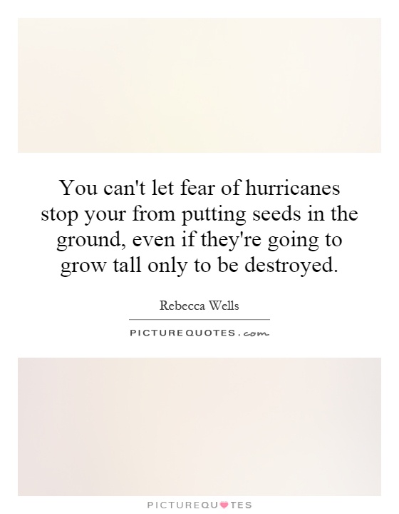 You can't let fear of hurricanes stop your from putting seeds in the ground, even if they're going to grow tall only to be destroyed Picture Quote #1