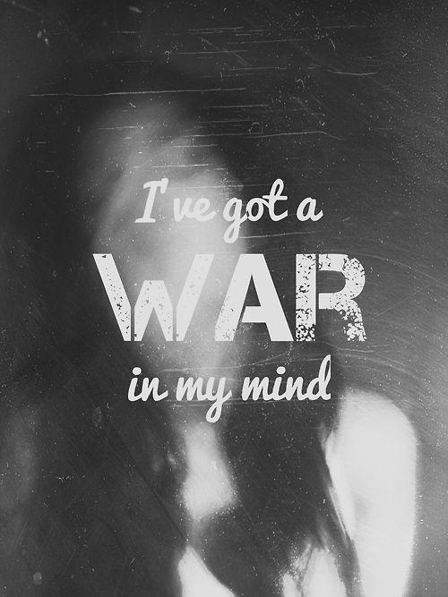 I've got a war in my mind Picture Quote #1