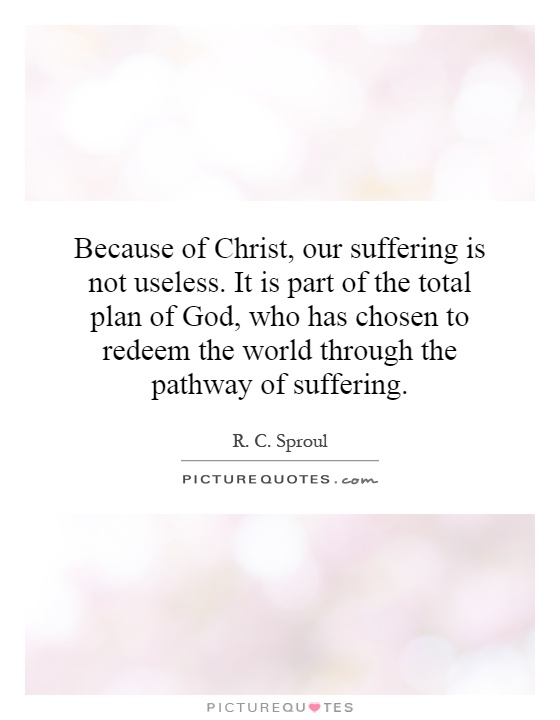 Because of Christ, our suffering is not useless. It is part of the total plan of God, who has chosen to redeem the world through the pathway of suffering Picture Quote #1