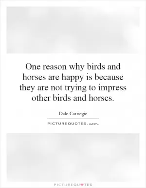 One reason why birds and horses are happy is because they are not trying to impress other birds and horses Picture Quote #1