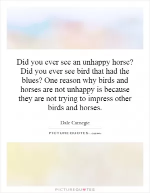 Did you ever see an unhappy horse? Did you ever see bird that had the blues? One reason why birds and horses are not unhappy is because they are not trying to impress other birds and horses Picture Quote #1