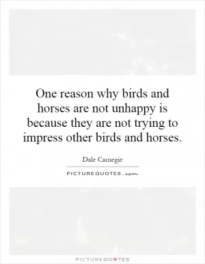 One reason why birds and horses are not unhappy is because they are not trying to impress other birds and horses Picture Quote #1