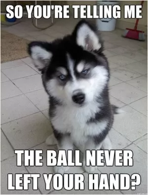 So you're telling me the ball never left your hand? Picture Quote #1