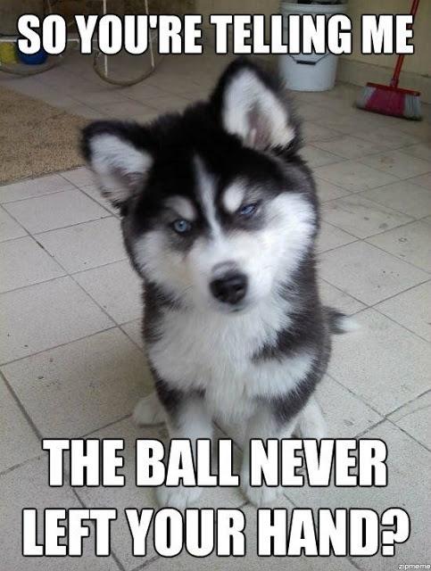 So you're telling me the ball never left your hand? Picture Quote #1