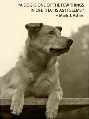 A dog is one of the few things in life that is as it seems Picture Quote #1