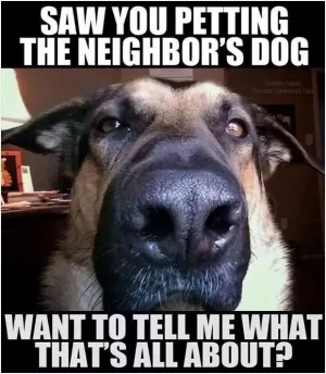 Saw you petting the neighbor's dog, want to tell me what that's all about? Picture Quote #1