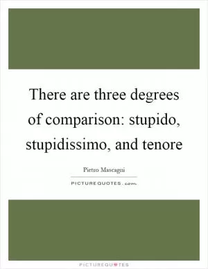 There are three degrees of comparison: stupido, stupidissimo, and tenore Picture Quote #1