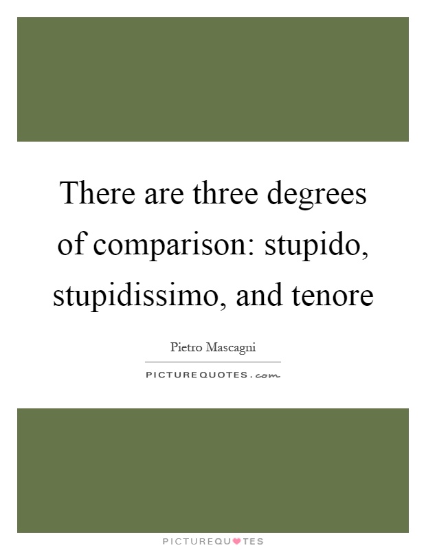 There are three degrees of comparison: stupido, stupidissimo, and tenore Picture Quote #1