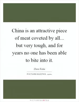 China is an attractive piece of meat coveted by all... but very tough, and for years no one has been able to bite into it Picture Quote #1