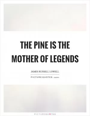The pine is the mother of legends Picture Quote #1