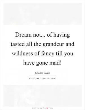 Dream not... of having tasted all the grandeur and wildness of fancy till you have gone mad! Picture Quote #1