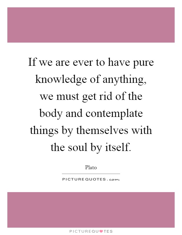 If we are ever to have pure knowledge of anything, we must get rid of the body and contemplate things by themselves with the soul by itself Picture Quote #1