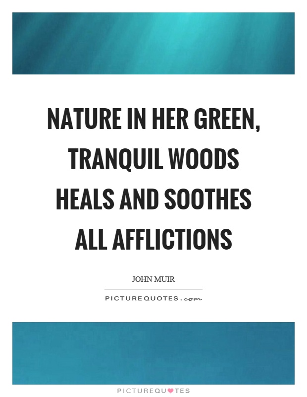 Nature in her green, tranquil woods heals and soothes all afflictions Picture Quote #1
