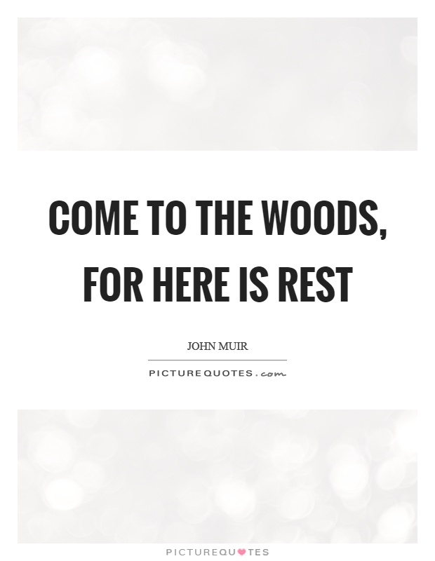 Come to the woods, for here is rest Picture Quote #1