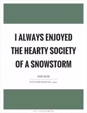 I always enjoyed the hearty society of a snowstorm Picture Quote #1