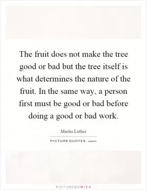The fruit does not make the tree good or bad but the tree itself is what determines the nature of the fruit. In the same way, a person first must be good or bad before doing a good or bad work Picture Quote #1
