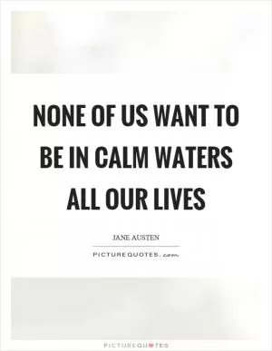 None of us want to be in calm waters all our lives Picture Quote #1