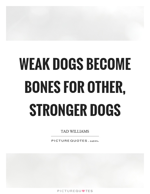 Weak dogs become bones for other, stronger dogs Picture Quote #1
