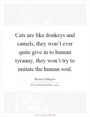 Cats are like donkeys and camels, they won’t ever quite give in to human tyranny, they won’t try to imitate the human soul Picture Quote #1