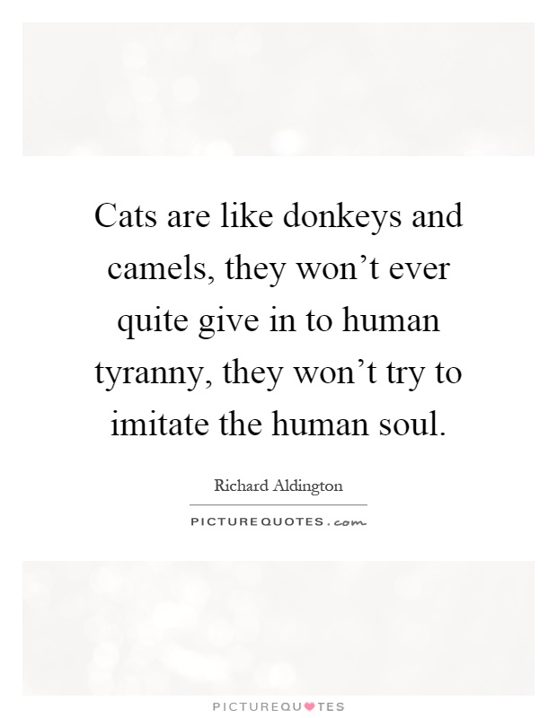 Cats are like donkeys and camels, they won't ever quite give in to human tyranny, they won't try to imitate the human soul Picture Quote #1
