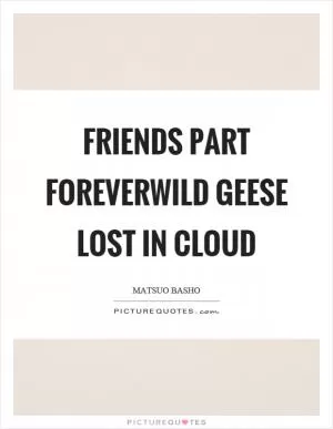 Friends part foreverwild geese lost in cloud Picture Quote #1