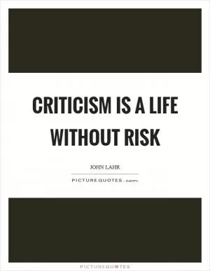 Criticism is a life without risk Picture Quote #1