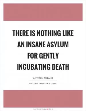 There is nothing like an insane asylum for gently incubating death Picture Quote #1