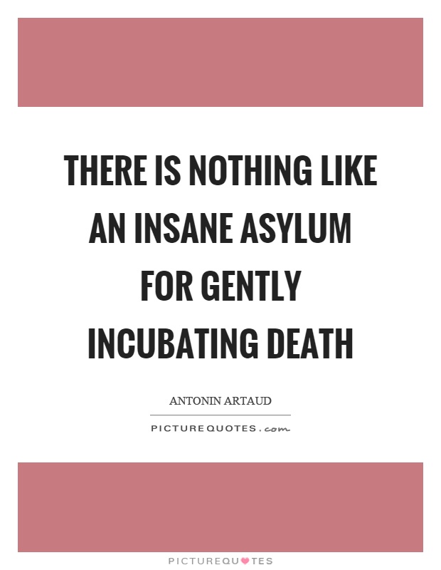 There is nothing like an insane asylum for gently incubating death Picture Quote #1
