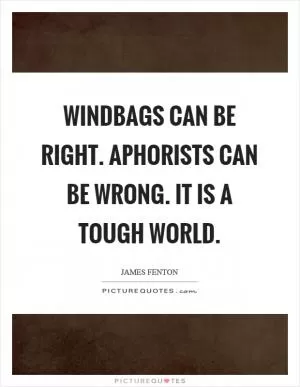 Windbags can be right. Aphorists can be wrong. It is a tough world Picture Quote #1