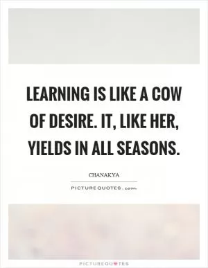 Learning is like a cow of desire. It, like her, yields in all seasons Picture Quote #1