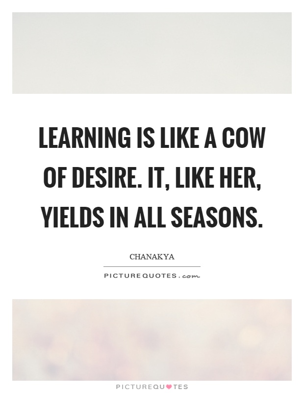Learning is like a cow of desire. It, like her, yields in all seasons Picture Quote #1