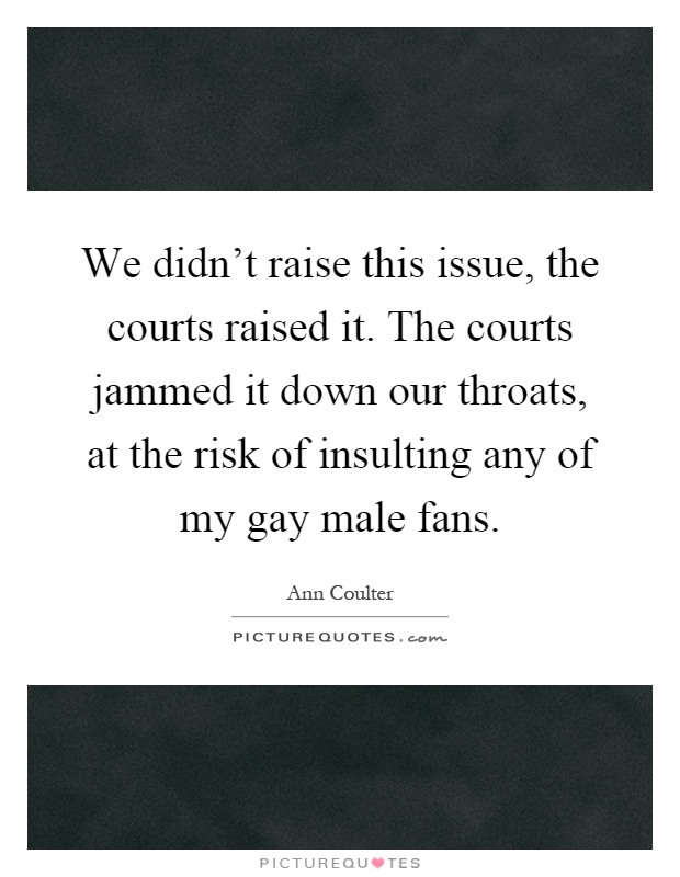 We didn't raise this issue, the courts raised it. The courts jammed it down our throats, at the risk of insulting any of my gay male fans Picture Quote #1